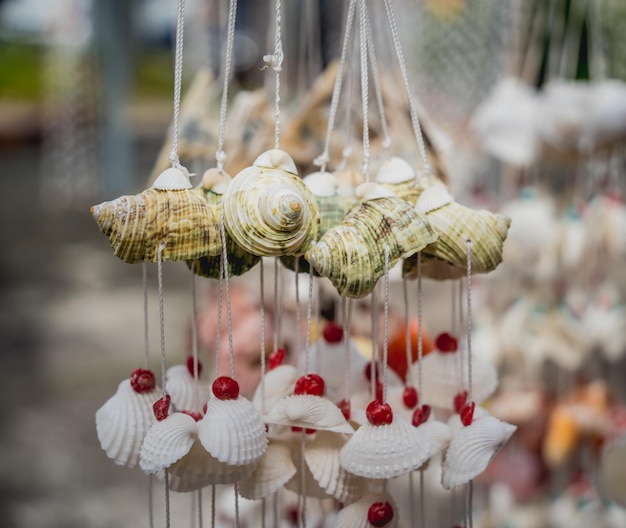 Handmade souvenir decorated with different sea shells