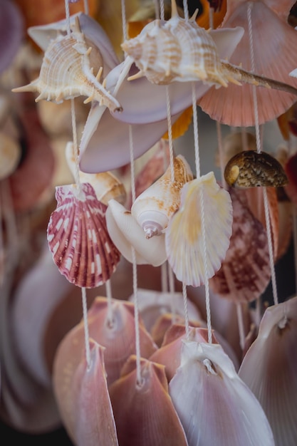 Handmade souvenir decorated with different sea shells