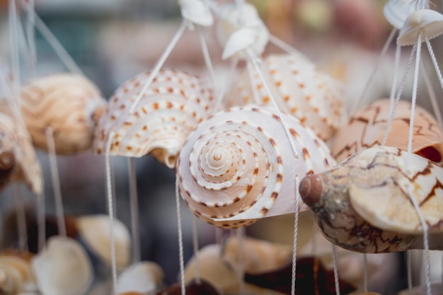 Handmade souvenir decorated with different sea shells