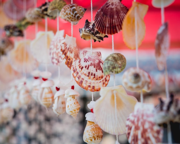 Handmade souvenir decorated with different sea shells