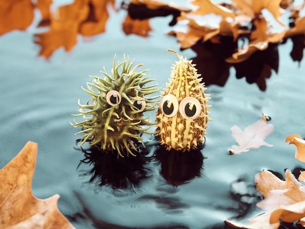 Handmade spiky monsters with googly eyes handmade diy characters in pool of water with Autumn leaves Creative ideas for handmade Fall toys from natural materials