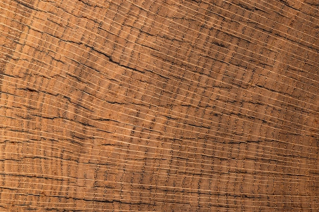 handmade table made of natural elm wood isolated on a white background