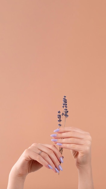 Photo hands of a beautiful well-groomed with feminine violet lavender nails gel polish on a beige background. manicure, pedicure beauty salon concept.