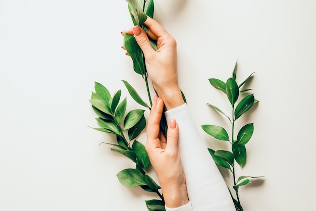 The hands of a beautiful woman with a Nude manicure hold branches with green leaves. Hand care concept. Cosmetics for hands anti wrinkle