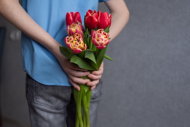 In the hands of a child are colorful red tulips Boy hiding flowers behind his back