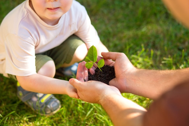 Hands of a child taking a plant from the hands of a man. concept eco earth day