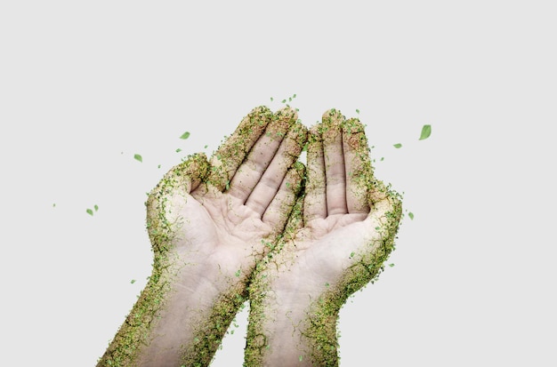 Hands covered with green leaves for Save the world Concept or Sustainable Concept