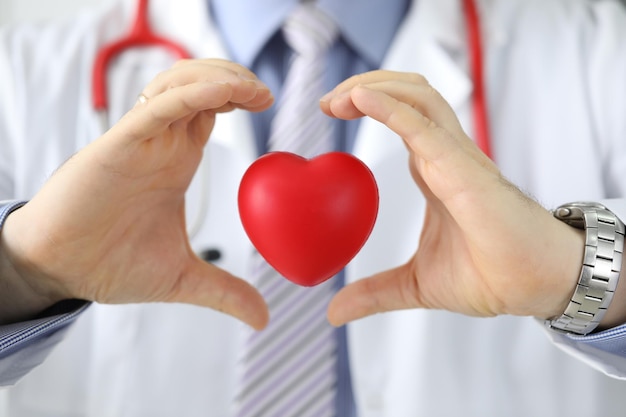 Hands of doctor cardiologist hold red toy heart in air