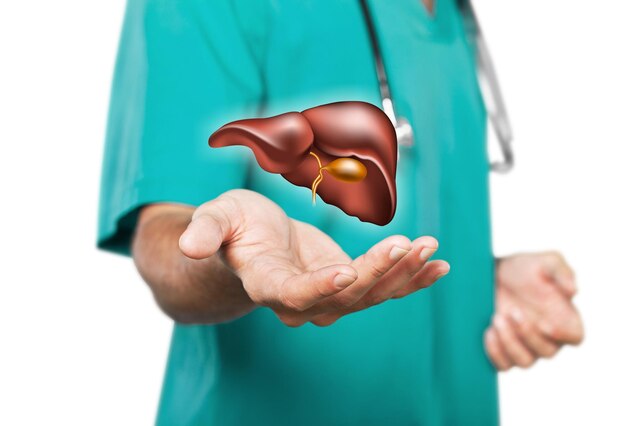 Photo hands of a doctor in uniform touch liver