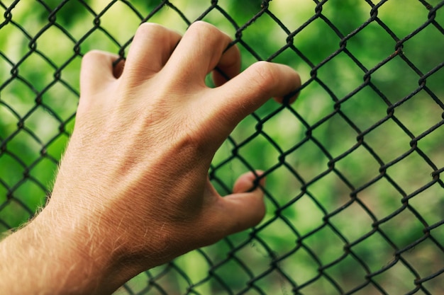 Hands and a fence A symbol of slavery and the desire for freedom