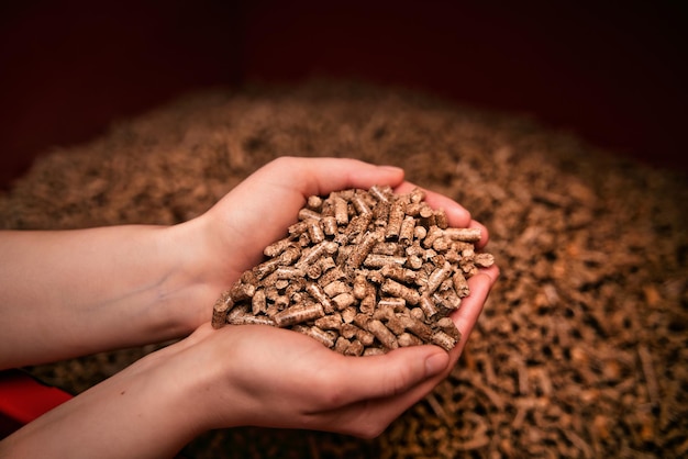 Hands full of wood pellets Concept of renewable energy for sustainable future