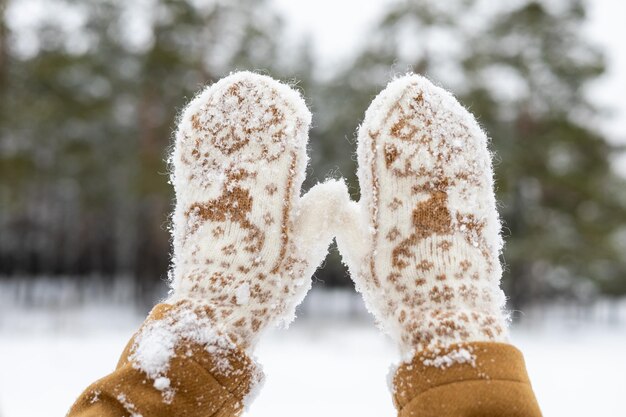 Hands of a girl in beautiful woolen mittens against the background of a green winter forest Blur zone for the inscription Christmas concept