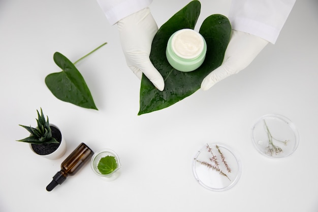 Hands in gloves hold cosmetic cream jar on green leaf on white lab background