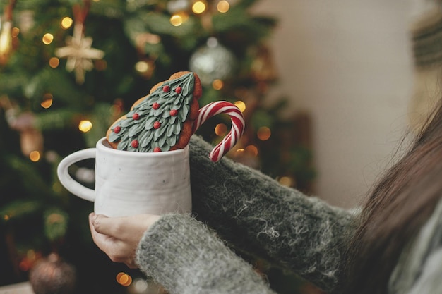 Hands holding cup with cookie and candy cane on background of christmas tree with golden lights Cozy home christmas banner Happy holidays Atmospheric winter time