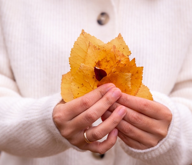 hands holding golden autumn leaves