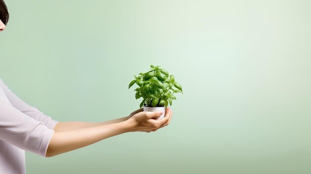 hands holding a green plant