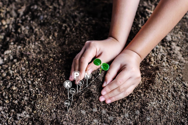 Hands holding green young plant have technology icons about minerals in the soil