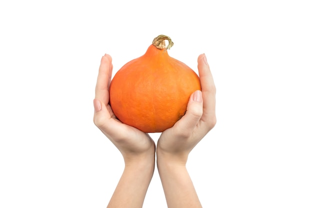 Hands holding Hokkaido pumpkin isolated on a white background photo