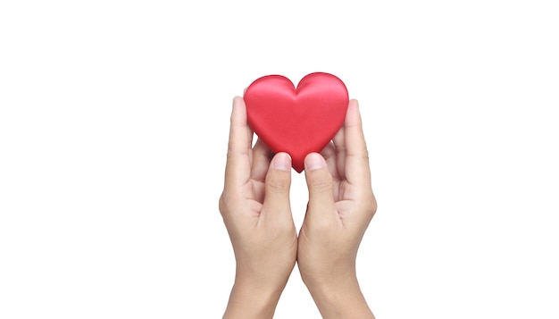 Hands holding a red heart. heart health donation concepts