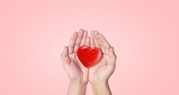 Hands holding a red heart. heart health. and donation concepts