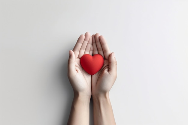 A hands holding a red heart with white background