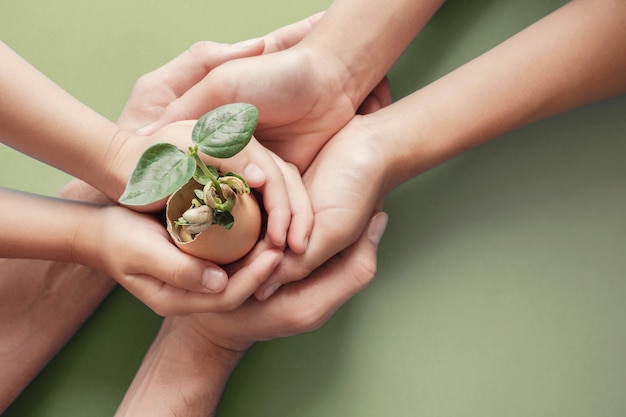 Photo hands holding seedling in eggshells, montessori education , csr corporate social responsibility,