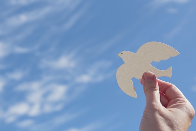 Hands holding white dove bird on blue cloud sky background,  world peace day concept