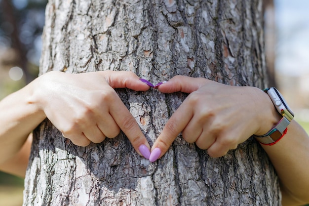 Hands making a heart shape on a tree