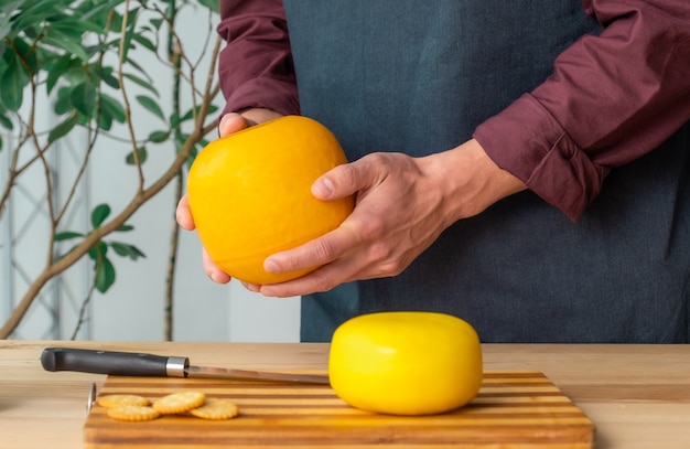 Hands of man hold whole holland cheese Edam and dutch goat cheese from Netherlands on the kitchen