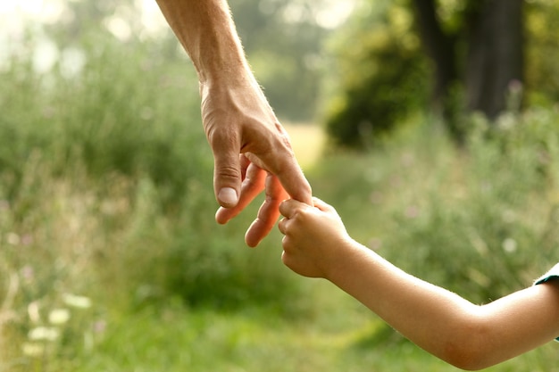 Hands of parent and child in nature