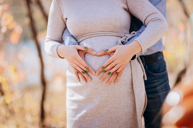 Hands on pregnant moms belly at heart figure family waiting for baby birth during pregnancy