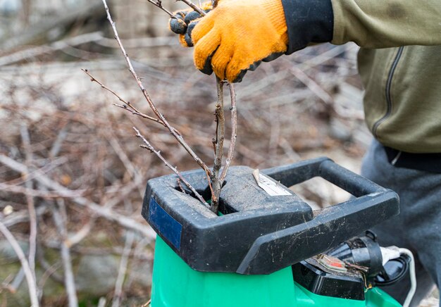 Hands put branches into garden shredder