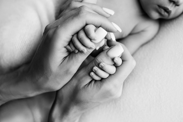 Hands of a sleeping newborn in the hands of the mother closeup Tiny fingers of a newborn holding the thumbs of the mother39s hand Studio macro photography Concepts of family and love Black white