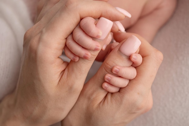 Hands of a sleeping newborn in the hands of the mother closeup Tiny fingers of a newborn holding the thumbs of the mother39s hand Studio macro photography Concepts of family and love