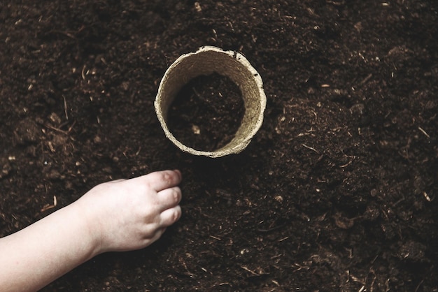 The hands of a small child sowed seeds in a peat pot The concept of Earth Day Peat pots for planting