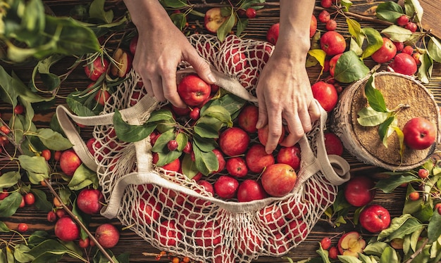 Hands and a string bag with red apples on a wooden table Concept of harvesting fresh crops from the garden a cozy autumn atmosphere