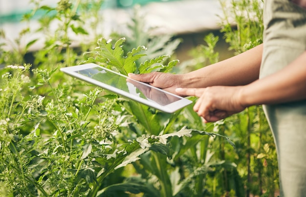 Photo hands on tablet research and woman in garden checking internet website for information on plants nature technology and farmer with digital app for sustainability agriculture and analysis on farm