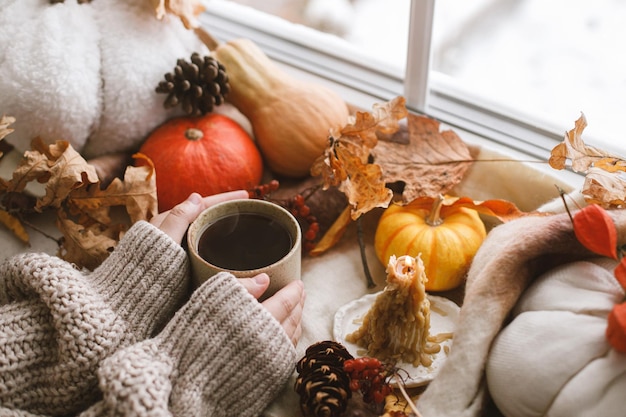 Photo hands in warm sweater holding warm cup of tea and pumpkins fall leaves and candle on window sill autumn hygge ugc concept happy thanksgiving