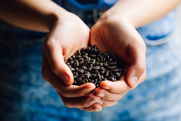 Hands with coffee beans