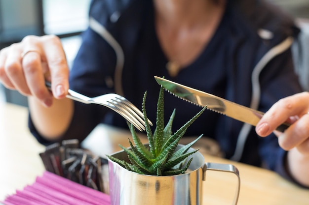 Hands with a fork and a knife near a houseplant a comic concept of vegetarianism