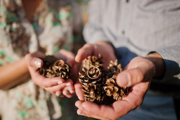 Hands with rings in cones