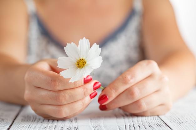 Hands of a woman holding flower