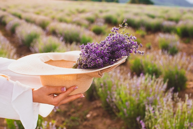 Photo hands of a woman holding a hat with a bunch of lavender into on a background of lavender field