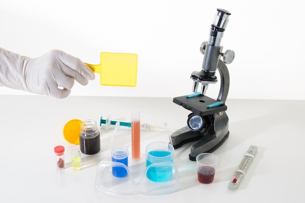 Hands of woman in a laboratory microscope slide in hand