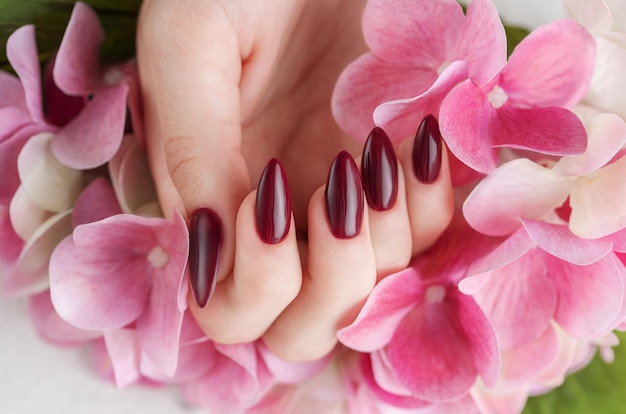 Hands of a young woman with dark red manicure on nails