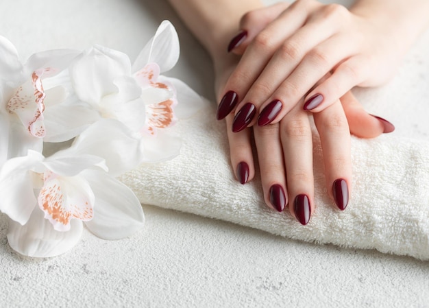 Hands of a young woman with dark red manicure on nails