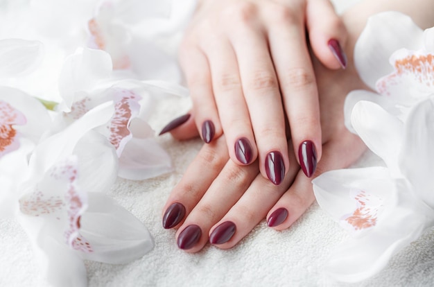 Hands of a young woman with dark red manicure on nails