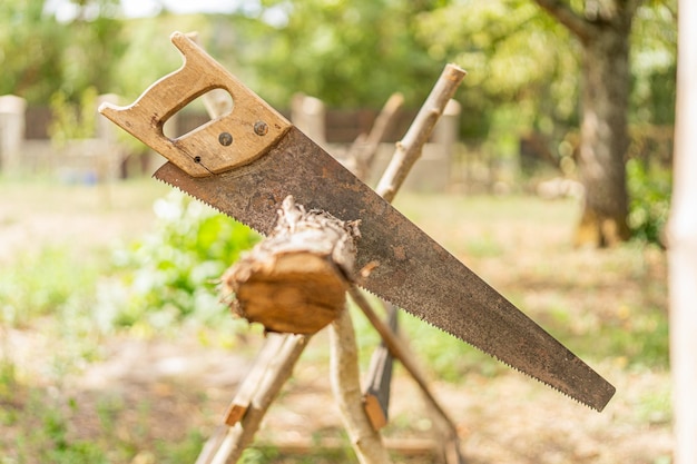 Handsaw pinned on a log in a garden