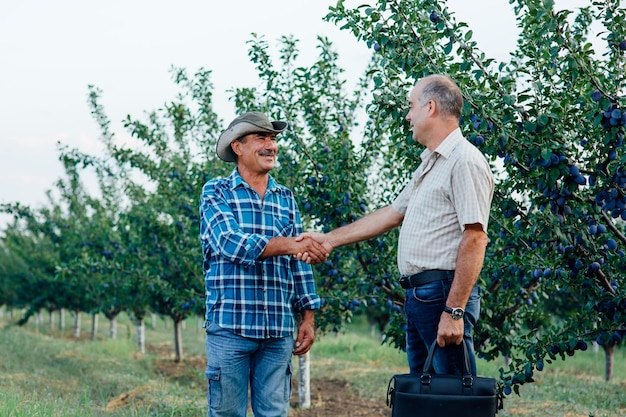 Handshake two farmer standing and shaking hands in a plum orchard agricultural business