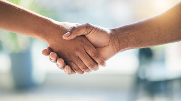 Handshake welcome and shaking hands by people meeting for partnership or agreement together as a team with trust Greeting accept and thank you or hello gesture for deal collaboration and support